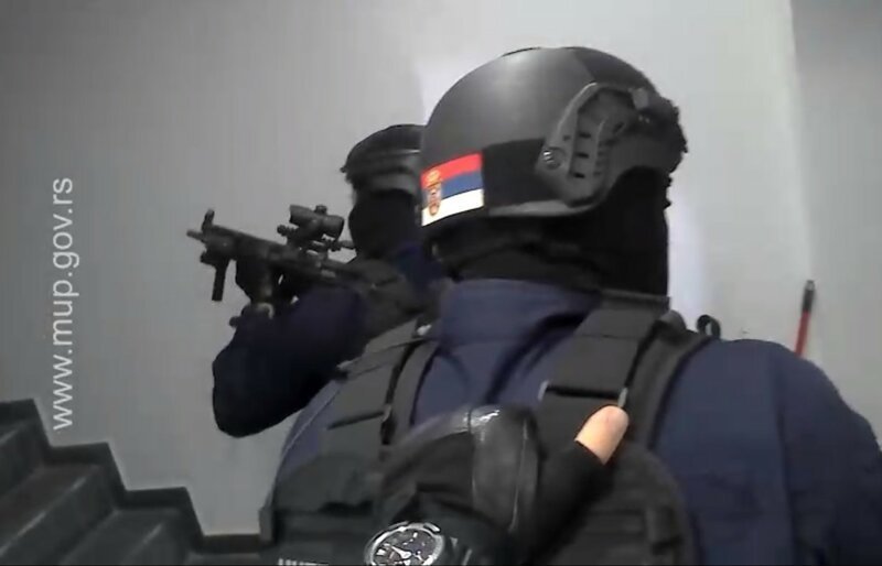Сербскую инстаграм*-модель арестовали за хранение оружия