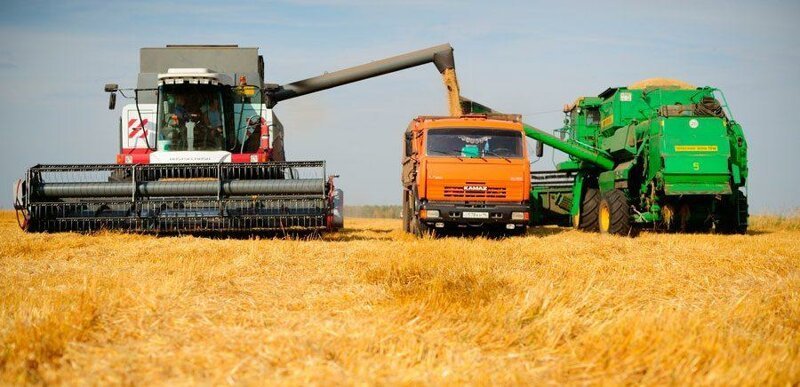 На 24 октября 2019 года в целом по стране намолочено 120,8 млн тонн зерна