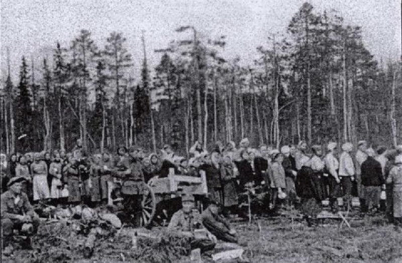 Концлагеря Маннергейма. Как финны уничтожали русских в захваченной Карелии