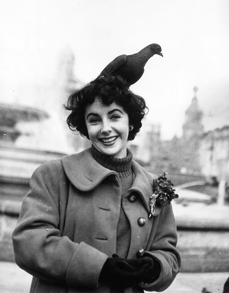 13. Англо-американская актриса Элизабет Тейлор кормит голубей на Трафальгарской площади в Лондоне. Ноябрь 1948 г.