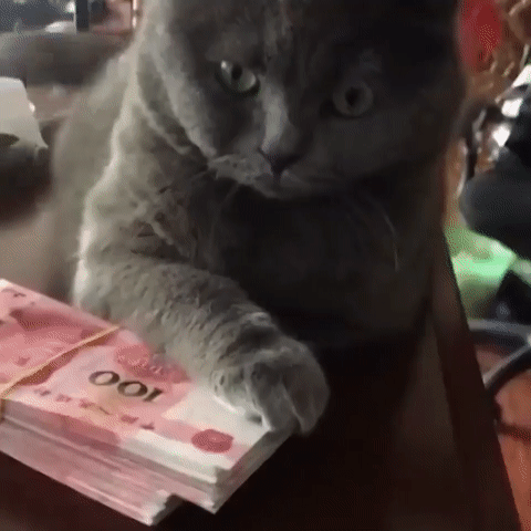 Гифки разные