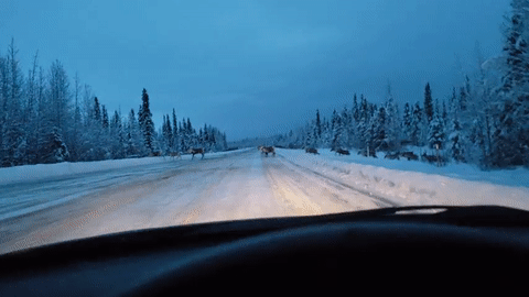 Сказка наяву