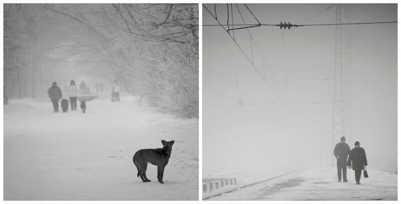 Душевные чёрно-белые снимки Милены Галчиной