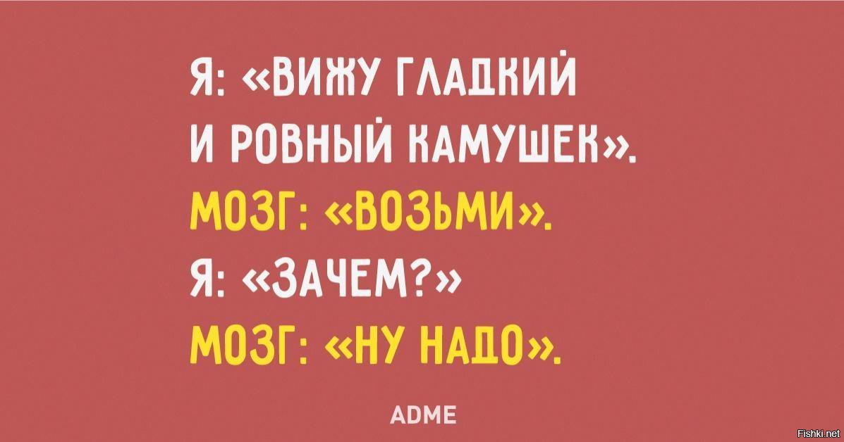 I d m l r u. ADME. Картинки ADME. Эдми ру. Я vs. мозг.