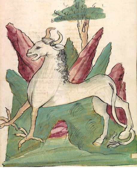 11 фантастических тварей из средневековых книг, или Угадай животное