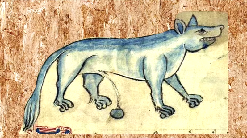 11 фантастических тварей из средневековых книг, или Угадай животное