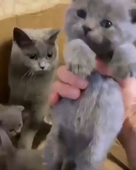 Не трожь ребенка