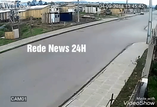 Встреча велосипедиста с лошадьми