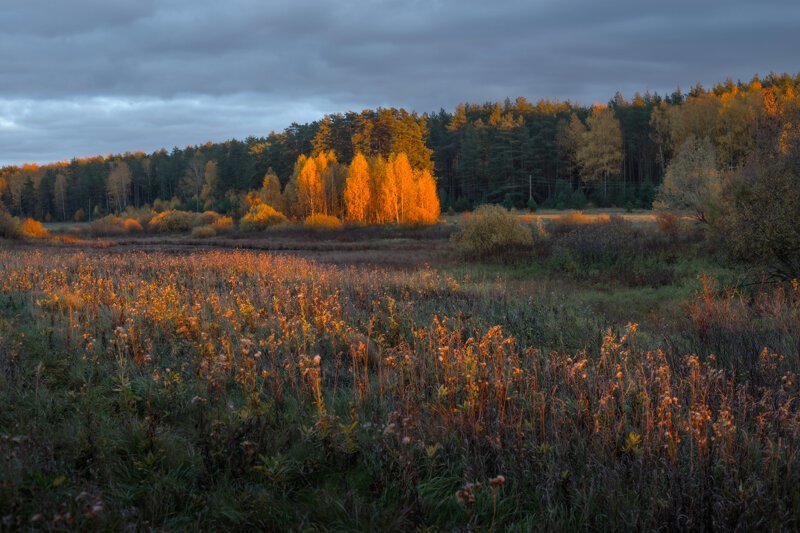 Красота мира