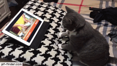 Гифки разные