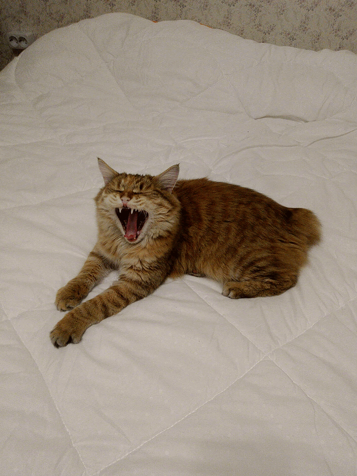 С добрым утром!