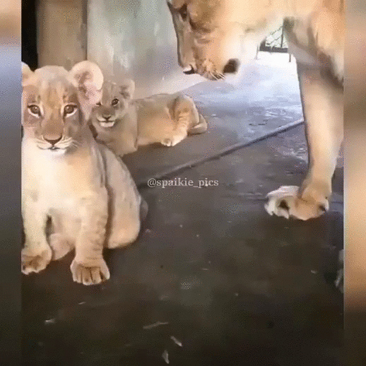 С добрым утром!