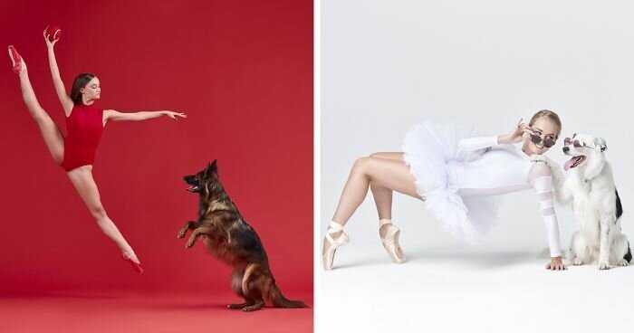 Артисты балета и собаки позируют вместе для фотосессии, и результат сделает ваш день!
