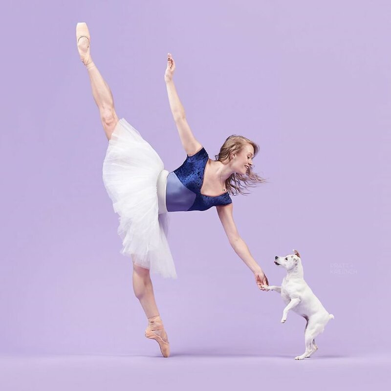 Артисты балета и собаки позируют вместе для фотосессии, и результат сделает ваш день!