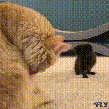 Гифки разные