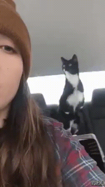 Гифки разные