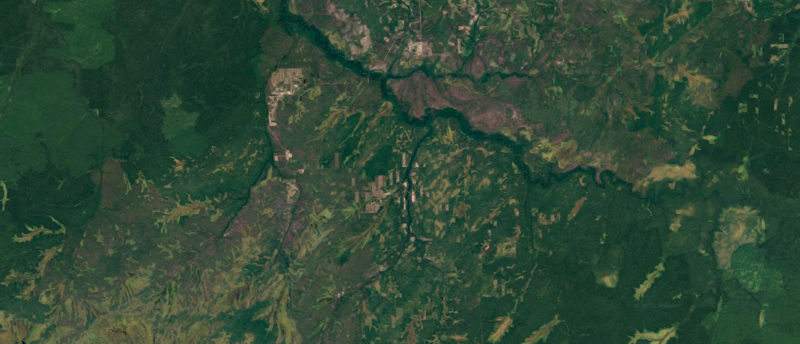 Вырубка лесов в Иркутской области и Красноярском крае