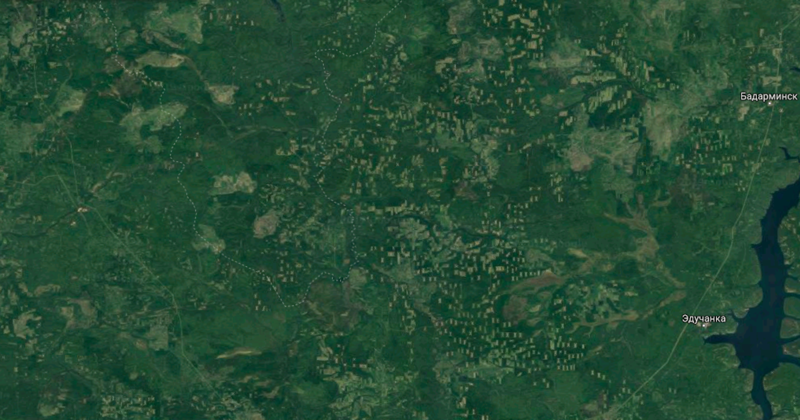 Вырубка лесов в Иркутской области и Красноярском крае