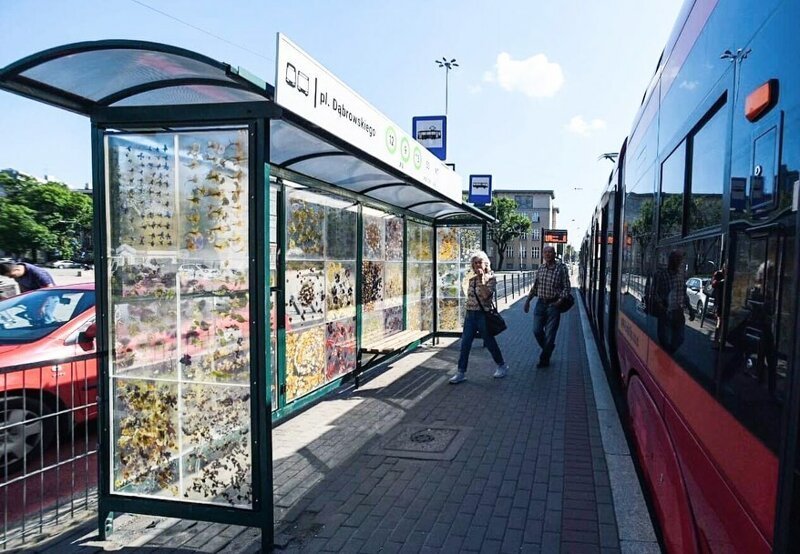 Польская художница превратила трамвайную остановку в цветочный музей