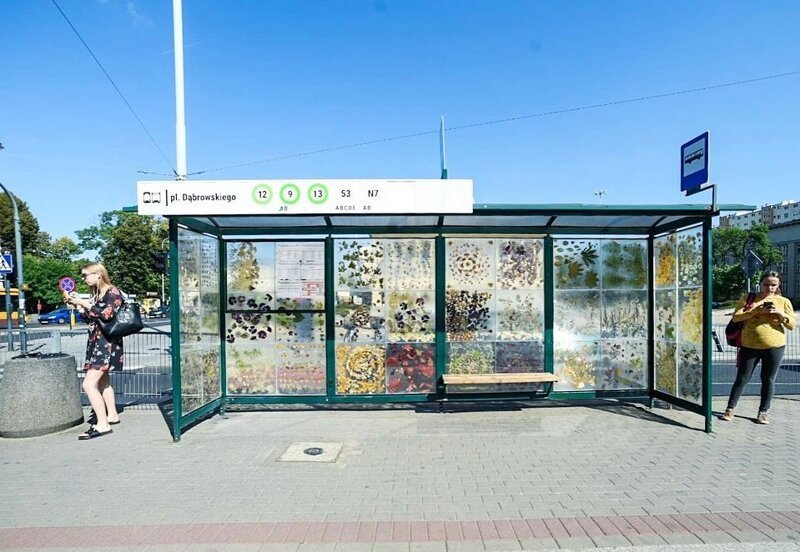 Польская художница превратила трамвайную остановку в цветочный музей
