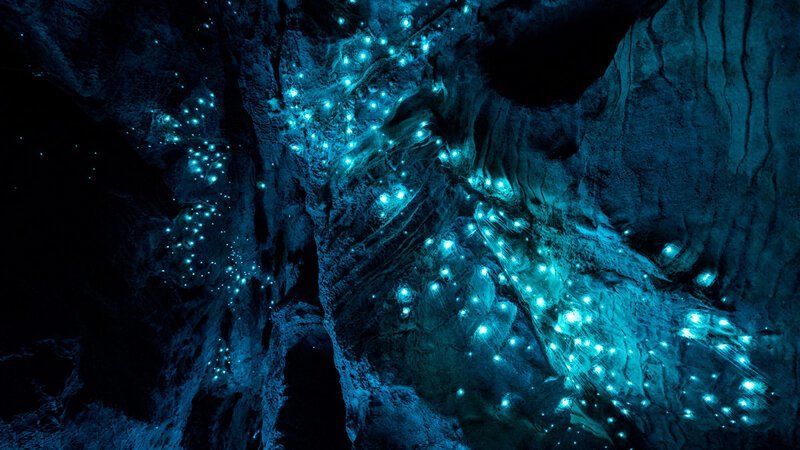 2. Пещера светлячков Вайтомо, Новая Зеландия