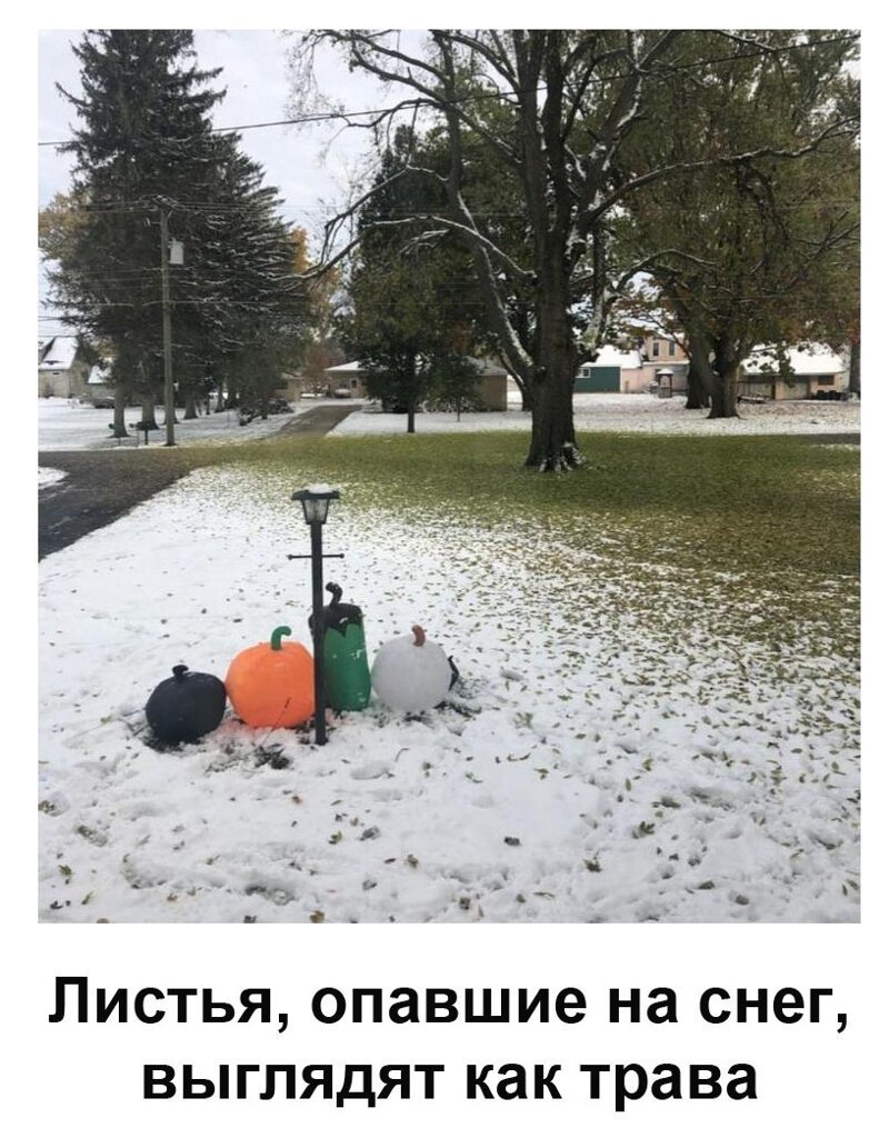 Не верь глазам своим!