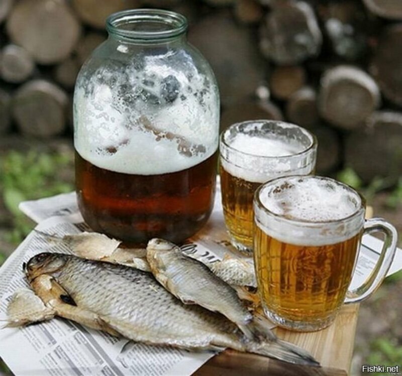 Здоровое питание:  пиво с рыбой