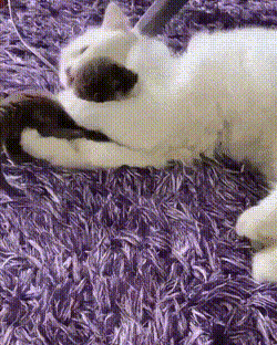 С добрым утром!