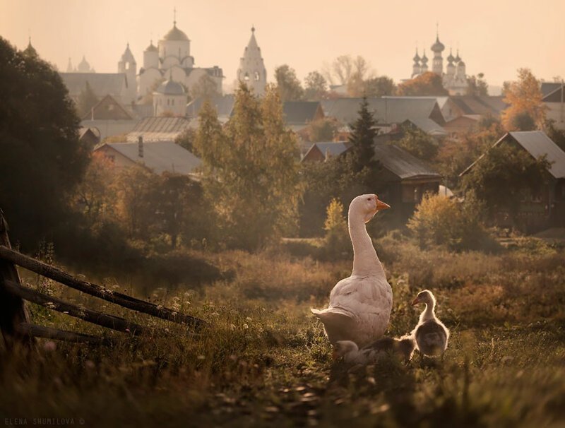 Город Суздаль, Россия.