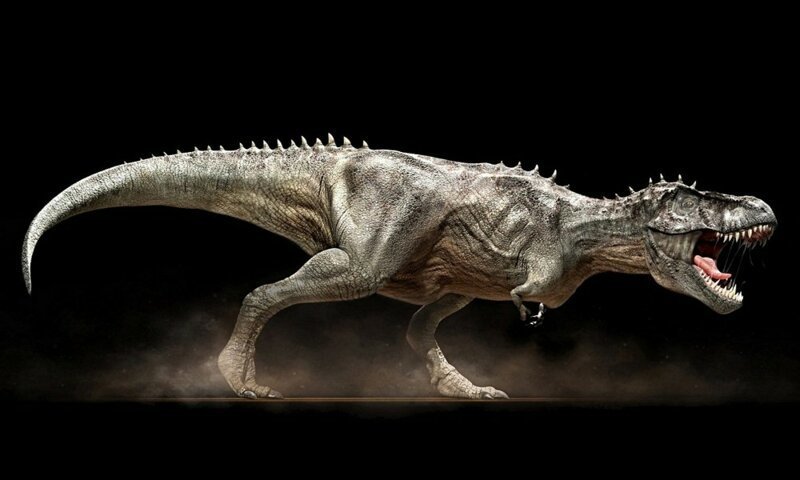 Сколько лет могли жить динозавры?