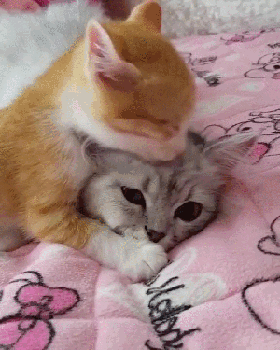 Гифки разные