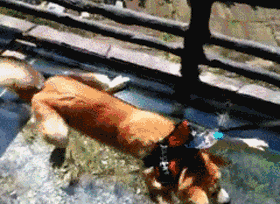 Гифки разные