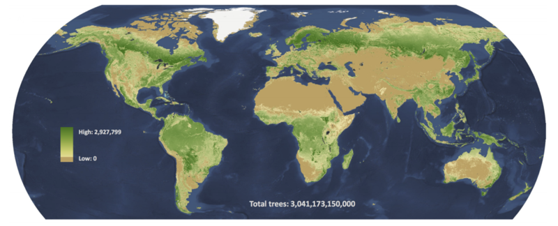 В чем неправ Трилон Маск: деревья не спасут планету от глобального потепления