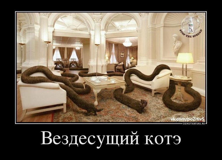 Образ кота в демотиваторах