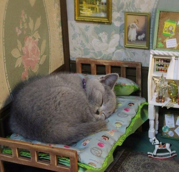 Намешалось