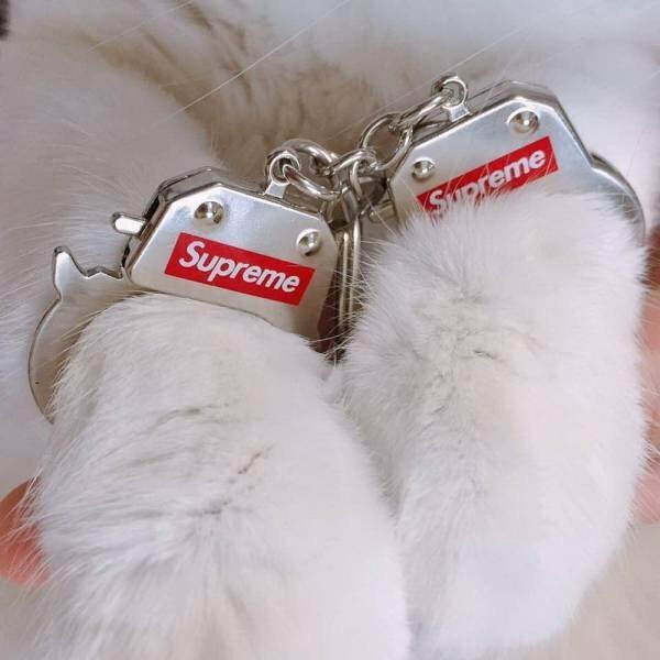 Намешалось