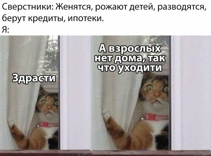 Намешалось