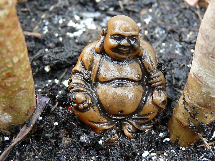 Будда не страдал лишним весом