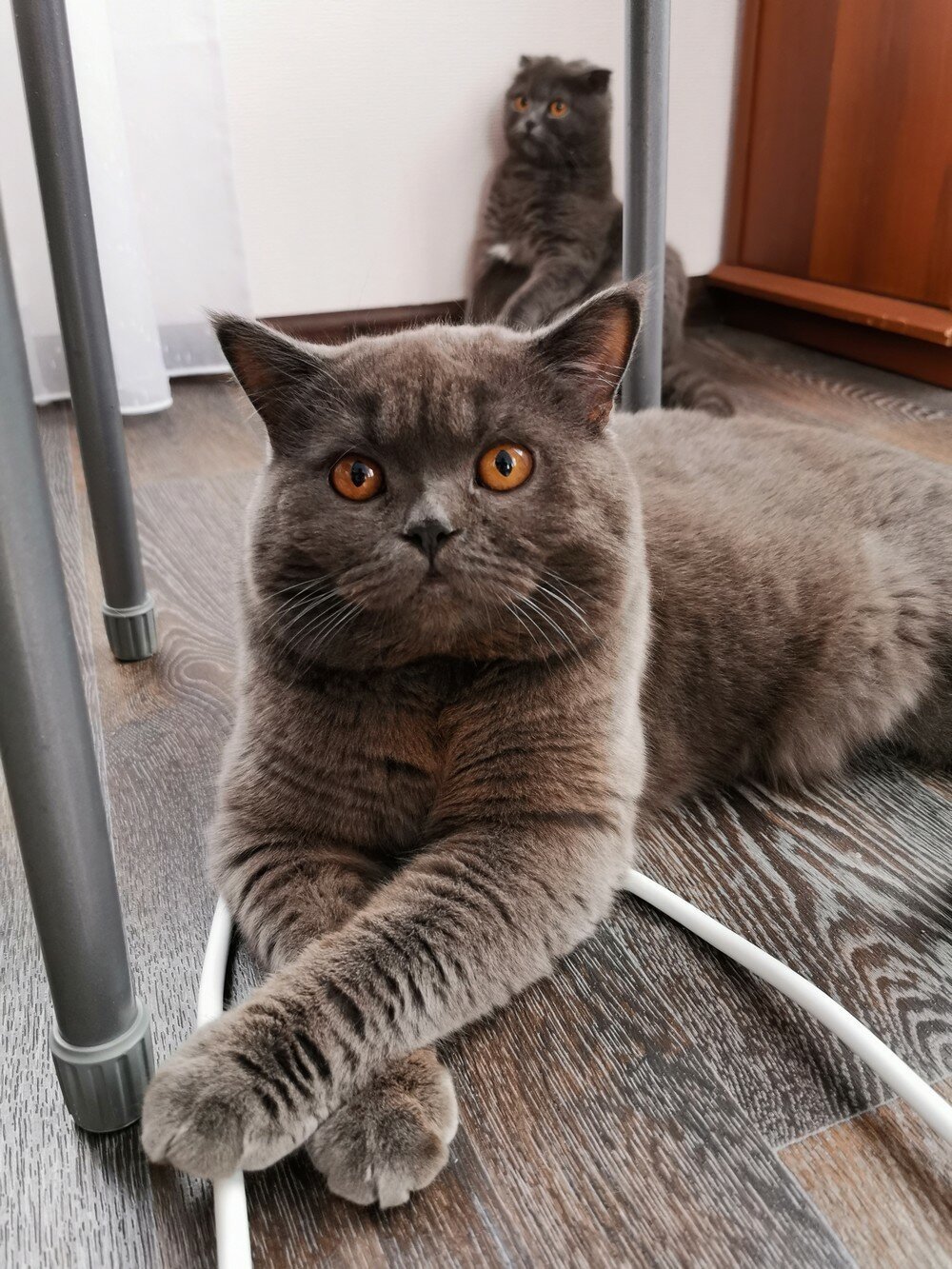 Фотоподборка от Димон за 11 ноября 2019