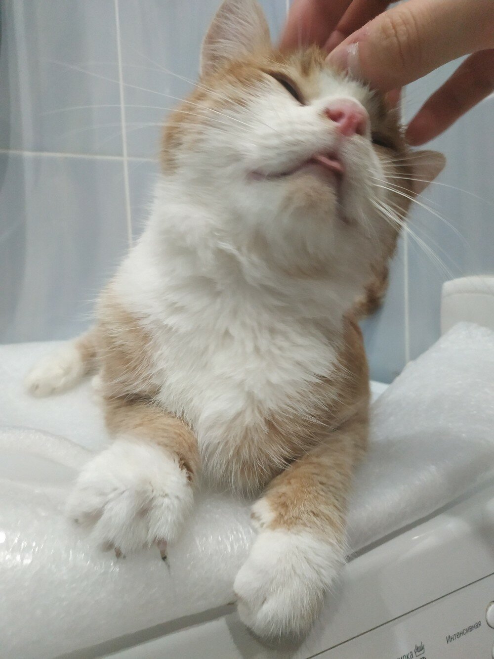 Фотоподборка от Димон за 11 ноября 2019