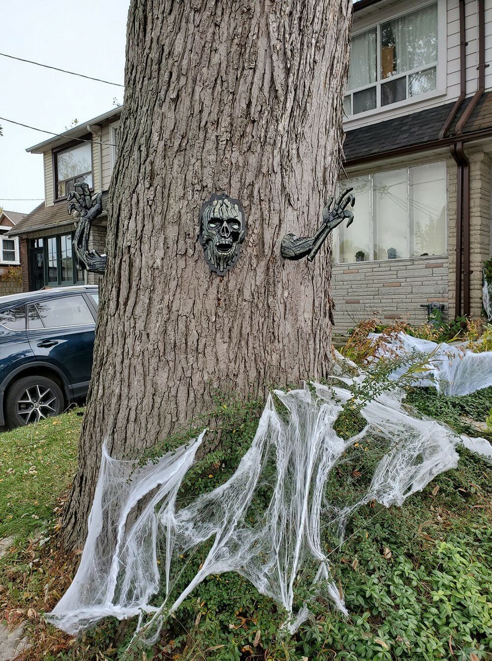 Фотоподборка от Димон за 11 ноября 2019