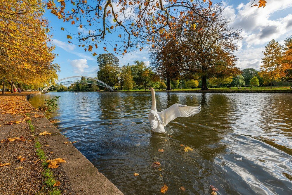 Фотоподборка от Димон за 11 ноября 2019