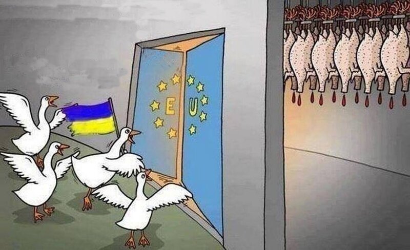 Политические карикатуры про мигрантов , ЕС и украину