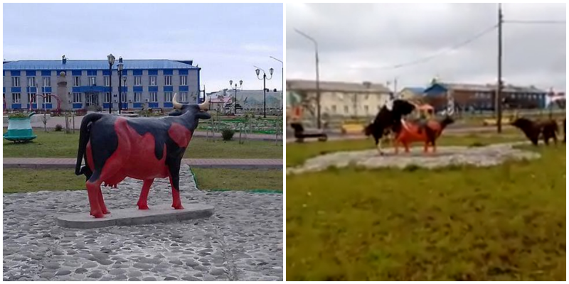 Сожгли красную корову. Теленок на красной площади. Коровы на Красном Холме. Корова на красной площади в Москве. Корова в красных сапогах.