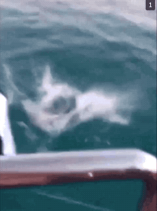 Гифки полудня