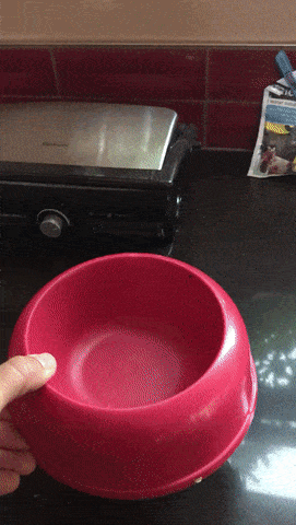 Гифки полудня