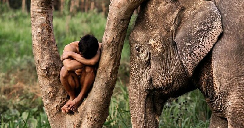 Люди и животные: 50 потрясающих фотографий Стива МакКарри