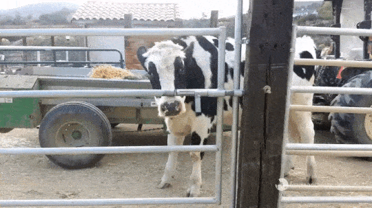 Гифки разные