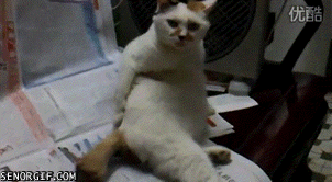 Гифки разные