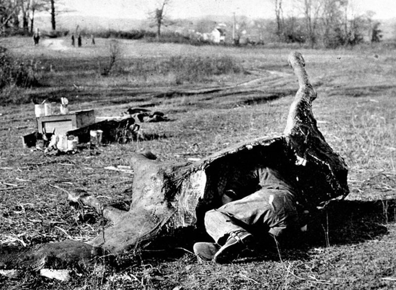 Американский снайпер лежит на ничейной земле в камуфлированном укрытии под видом павшей лошади. Третья Французская Республика. Весна 1918 года.